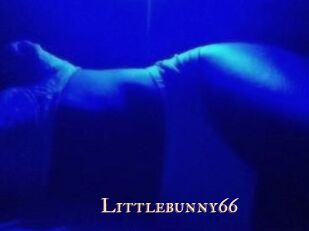 Littlebunny66