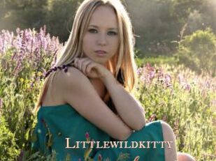 littlewildkitty Pink Center Fold