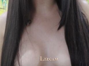 Lizcam