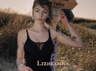 Lizhkamics