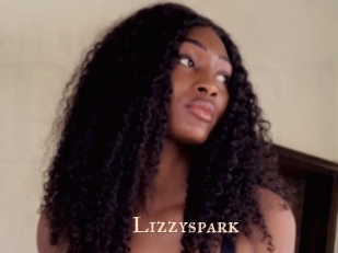 Lizzyspark