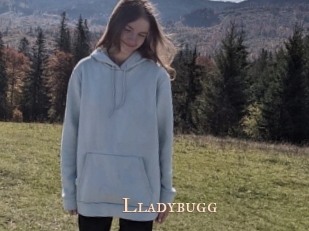 Lladybugg