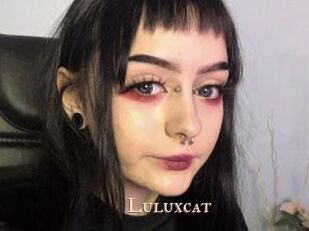 Luluxcat