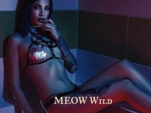 MEOW_Wild