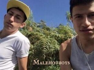 Malehotboys