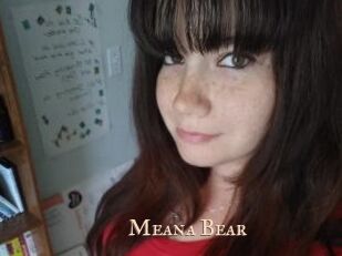 Meana_Bear