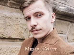 MeerkatMatt