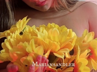 mariansandler Pink Center Fold