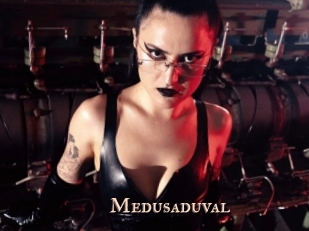 medusaduval Pink Center Fold