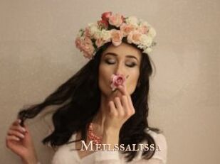Meilssalissa