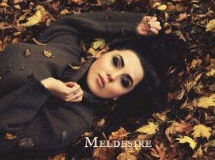 Meldesire