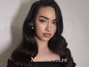 melissawolfe Pink Center Fold