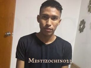 Mestizochino23