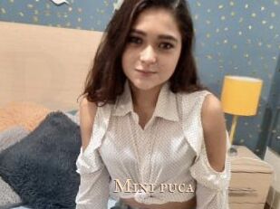 Mini_puca