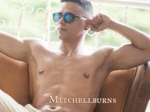 Mitchellburns