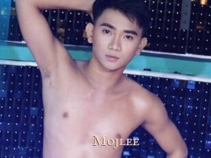 mojlee Pink Center Fold