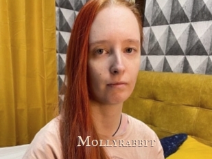 Mollyrabbit