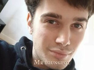 Mr_youngfox