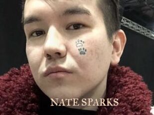 NATE_SPARKS