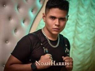 NoahHarris