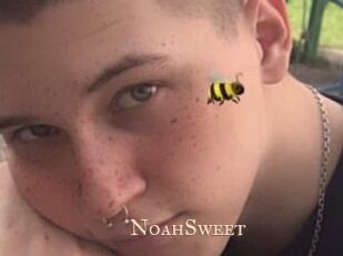 NoahSweet