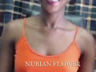 _NUBIAN_FLOWER_