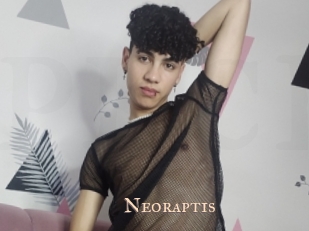 Neoraptis