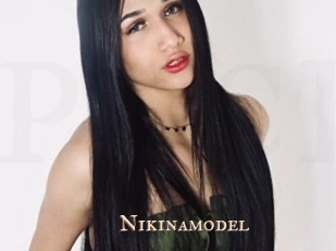 Nikinamodel