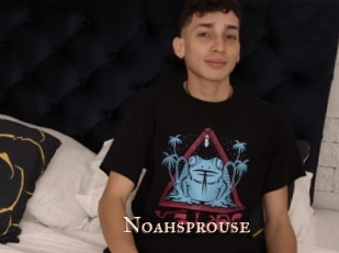 Noahsprouse