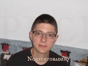 Norbertobadzso