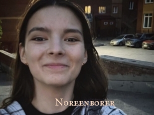 Noreenborer