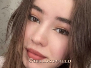 odellagarfield Pink Center Fold