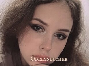 Odelynbucher