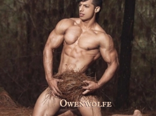 Owenwolfe