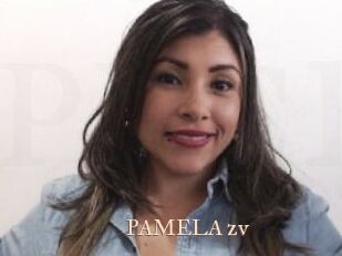 PAMELA_zv