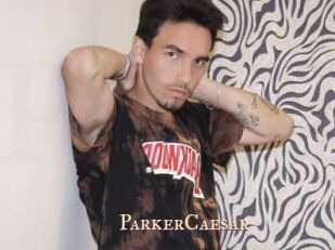 ParkerCaesar Pink Center Fold