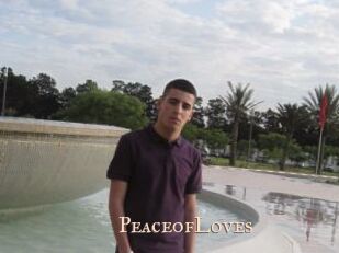 PeaceofLoves