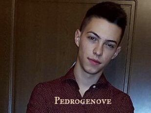 Pedrogenove