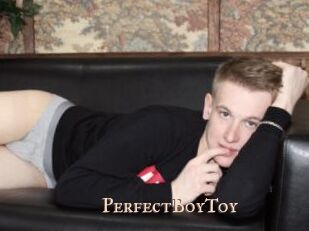 PerfectBoyToy