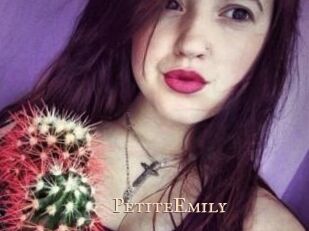 PetiteEmily Pink Center Fold
