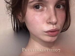 Pettitekitty1107