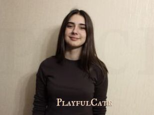 PlayfulCate