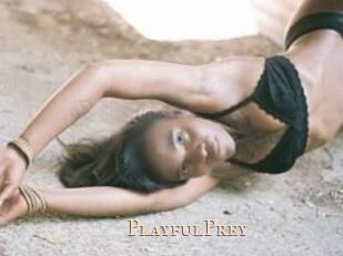 PlayfulPrey