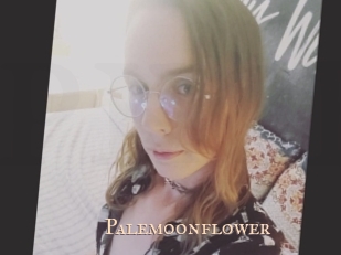 Palemoonflower