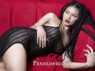 Penelopecook