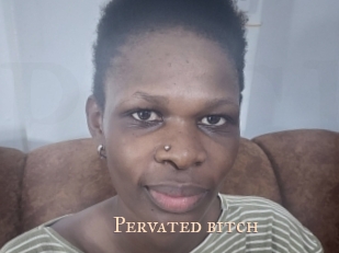 Pervated_bitch