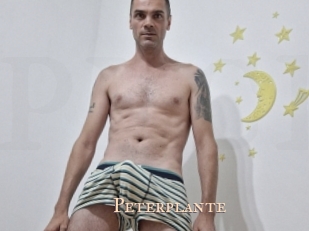 Peterplante