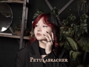 Petulabracher