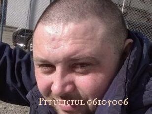 Pituliciul-06105006