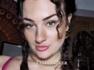 Pixieparker